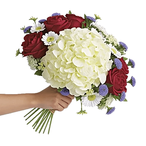 Ivory Blossom Radiance