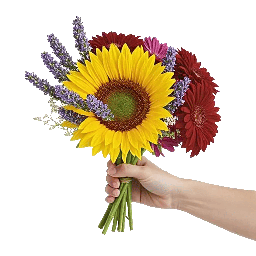 Twinkling Sunflower Dance