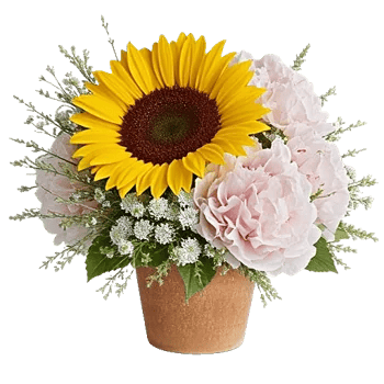 Amber Sunflower Glow