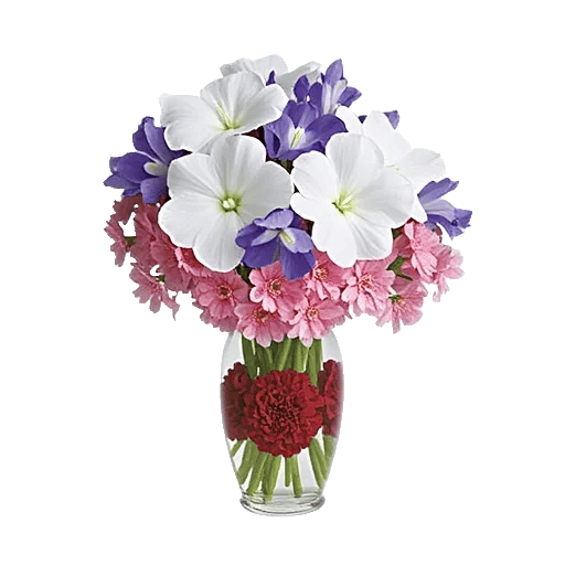 Ivory Blossom Radiance