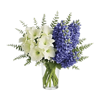 Ivory Blossom Radiance