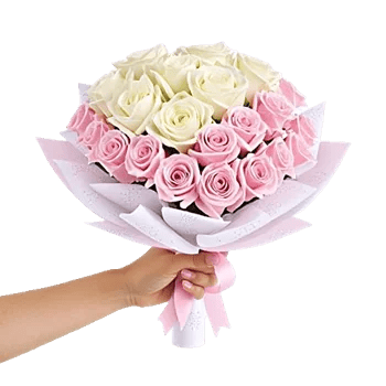 Pastel Pink Roses