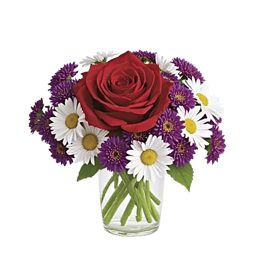 Crimson Rose Elegance