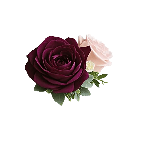 Delicate Petal Cascade