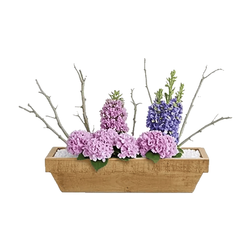 Lavender Bloom Grace