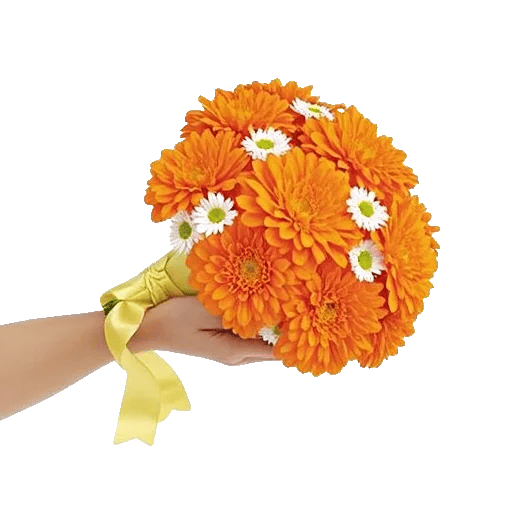 Vibrant Orange Delight
