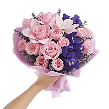 Blushing Rose Symphony