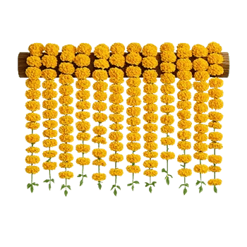 Radiant Bloom Cascade