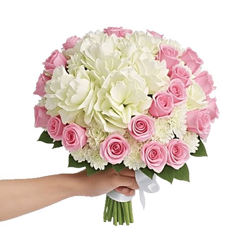 Serene Petal Harmony