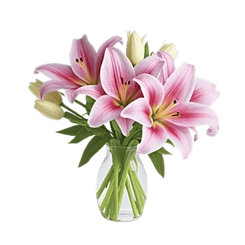 Graceful Lily Display