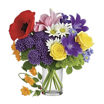 Petal Radiance Bliss