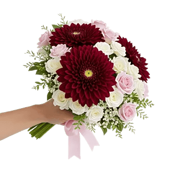 Blushing Rose Symphony