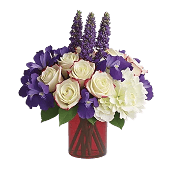 Ivory Blossom Radiance