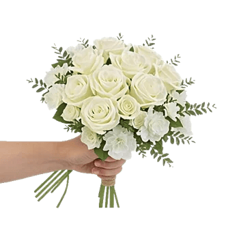 Ivory Garden Grace