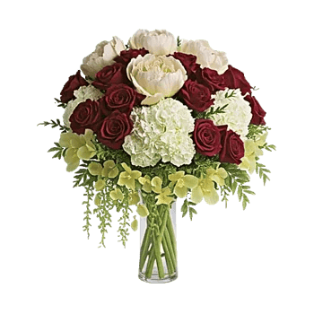 Petal Radiance Bliss