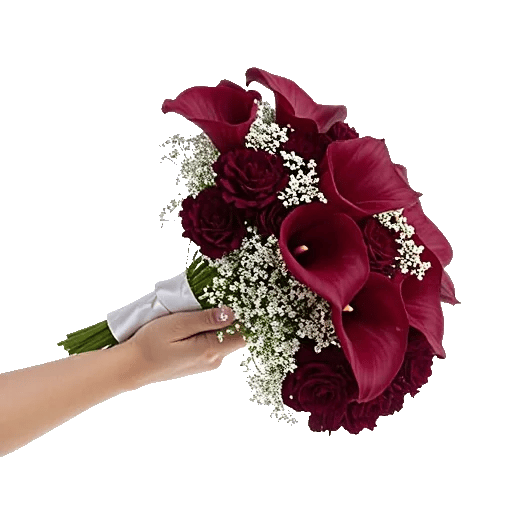 Elegant Calla Lilies