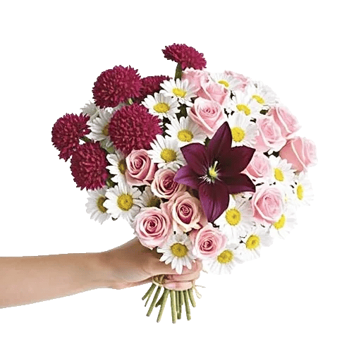 Blossom Harmony Display