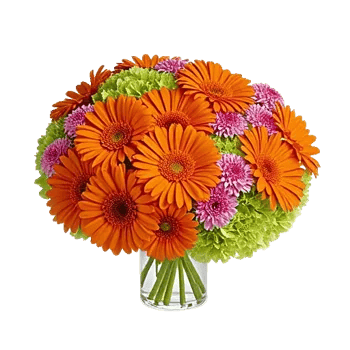 Radiant Bloom Cascade