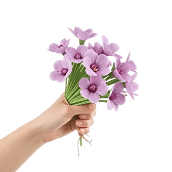 Blossom Harmony Display