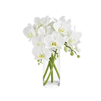 Orchid Bloom Cascade