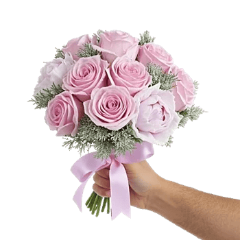 Pastel Pink Roses