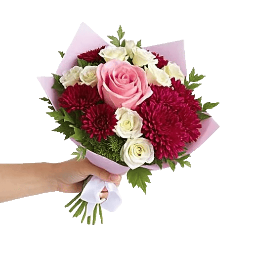 Blushing Rose Symphony