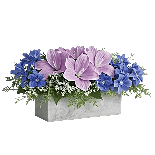 Blossom Petal Serenity