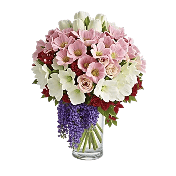 Ivory Blossom Radiance