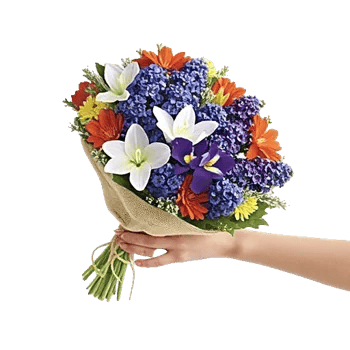 Blossom Petal Serenity