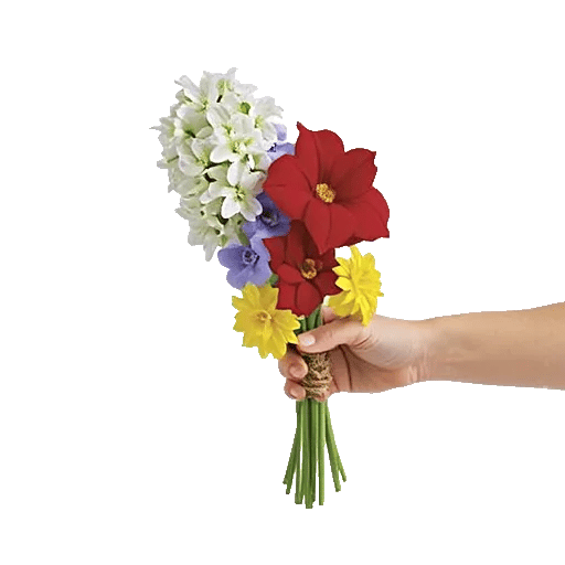 Blossom Harmony Display