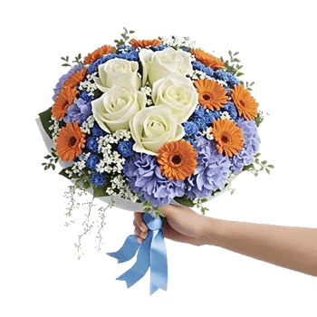 Serene Petal Harmony