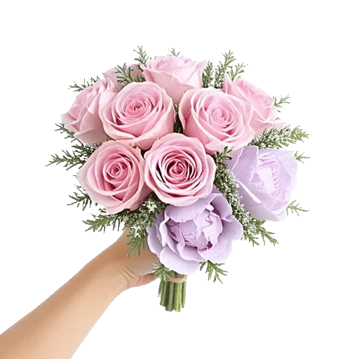 Pastel Pink Roses