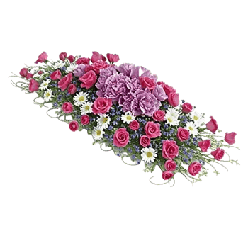 Delicate Petal Cascade