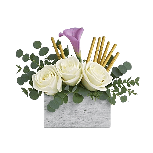 Elegant Calla Lilies