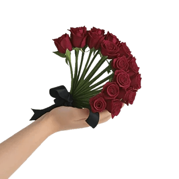 Crimson Rose Elegance