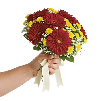 Crimson Blossom Harmony