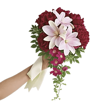 Delicate Petal Cascade