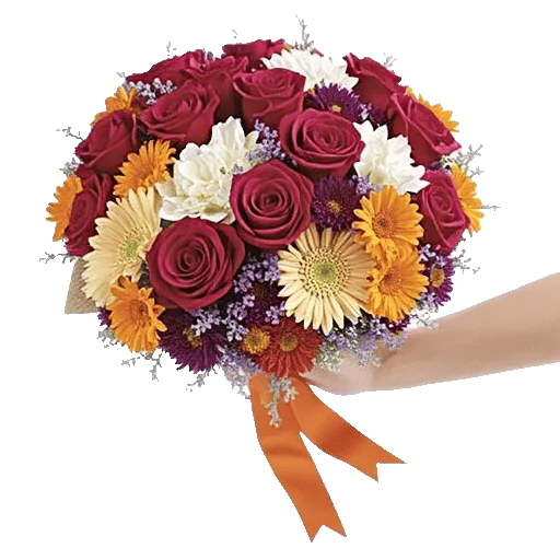 Blushing Rose Symphony