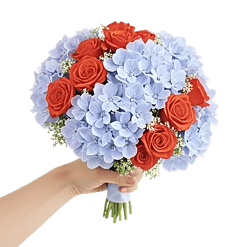 Serene Petal Harmony