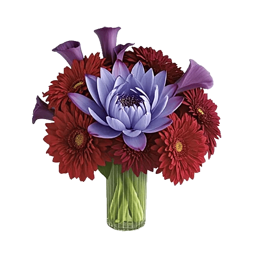 Petal Radiance Bliss