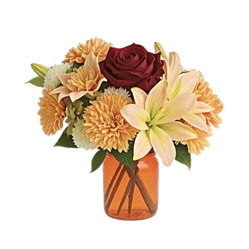 Petal Radiance Bliss
