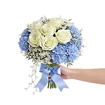 Serene Petal Harmony