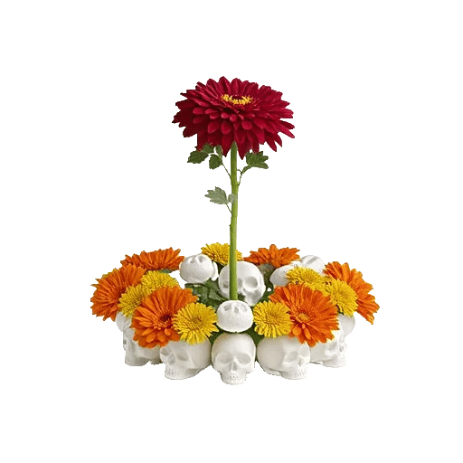 Modern White Orchids