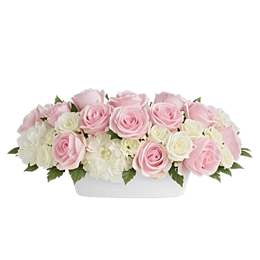 Delicate Petal Cascade