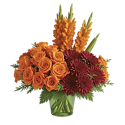 Petal Radiance Bliss