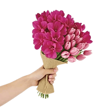 Blossom Grace Spread