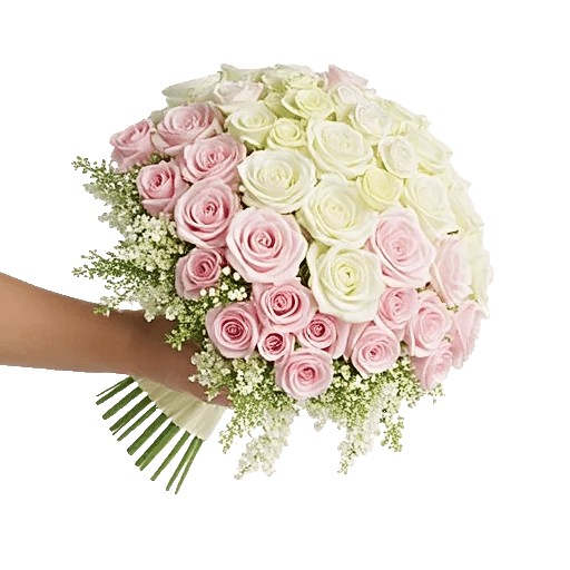 Blushing Rose Symphony