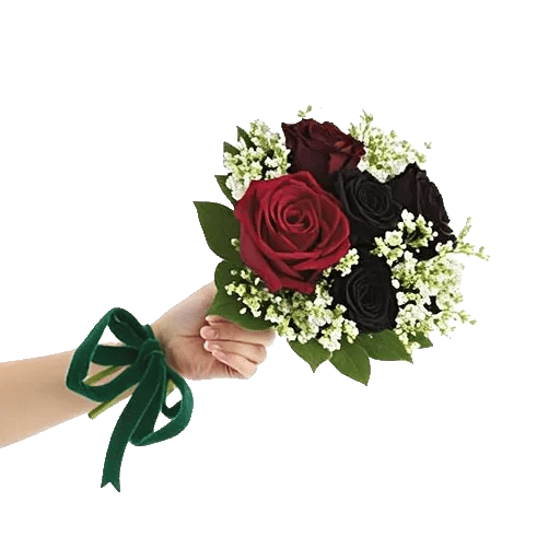 Crimson Rose Elegance