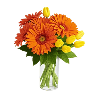 Radiant Petal Display