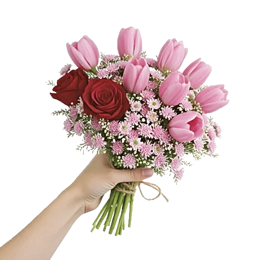 Velvet Tulip Display